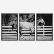 Load image into Gallery viewer, Galloping Forward Framed Prints S/3
