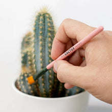 Load image into Gallery viewer, Mini Cactus Cleaners
