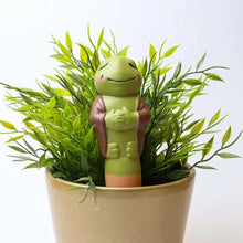 Load image into Gallery viewer, Grow with the Flow Toadally Zen Watering Spike
