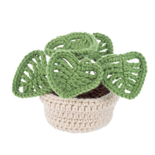Load image into Gallery viewer, Crochet House Plants (3 Styles)
