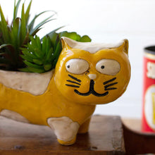 Load image into Gallery viewer, Hank Cat Planter
