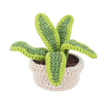 Load image into Gallery viewer, Crochet House Plants (3 Styles)
