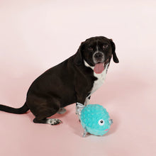 Load image into Gallery viewer, Puffed Up Bubbles Dog Toy
